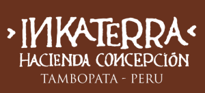 Screen Shot 2019-11-18 at 3.44.17 PM